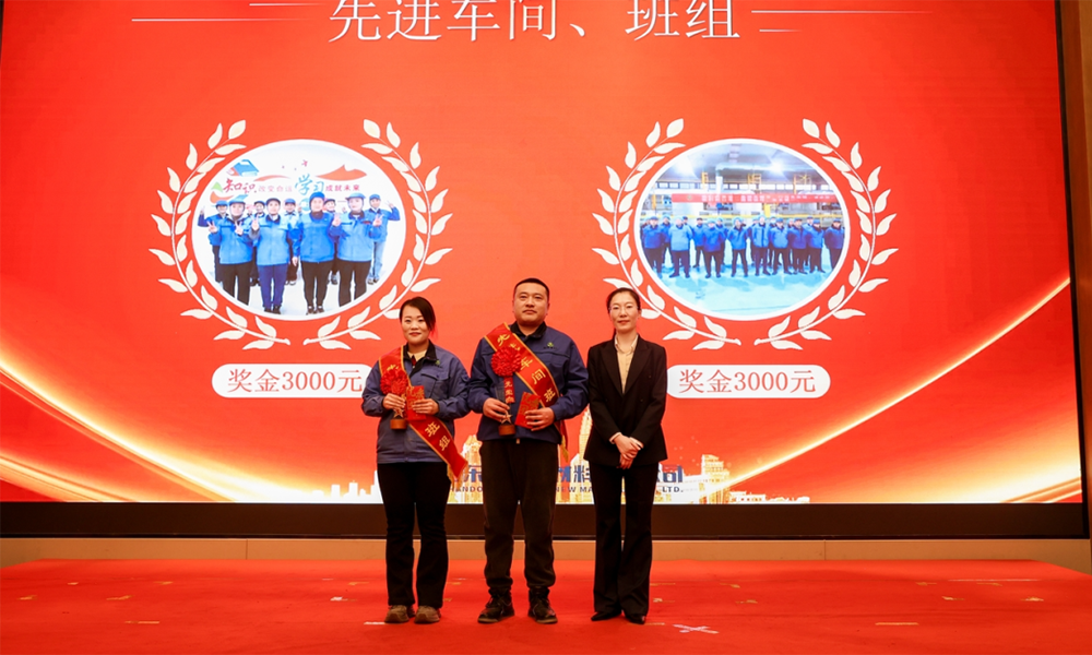 Advanced Workshop and Team Award